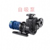 耐空轉(zhuǎn)自吸泵選型的注意事項(xiàng)